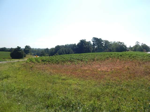 0 Return Church Road Seneca, SC 29678 - Photo 2 of 2