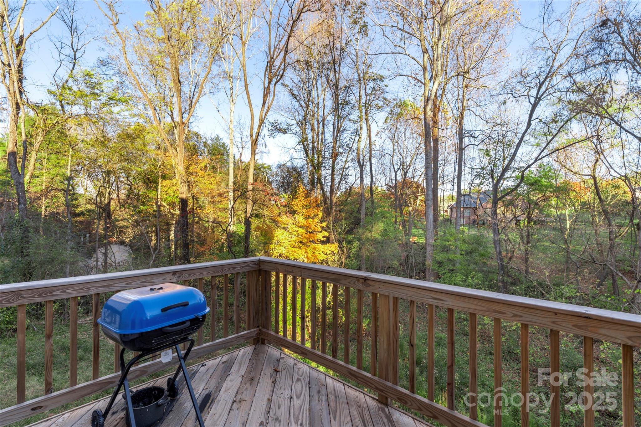 265 Prospect Trail Salisbury, NC 28147 - Photo 42 of 44 a view of a balcony with mountain view