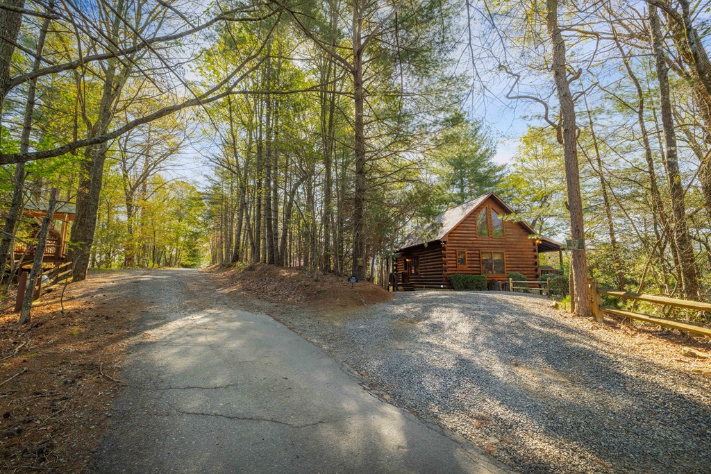 258 Dupont Drive Blue Ridge, GA 30513 - Photo 37 of 39 Gallery Image 37