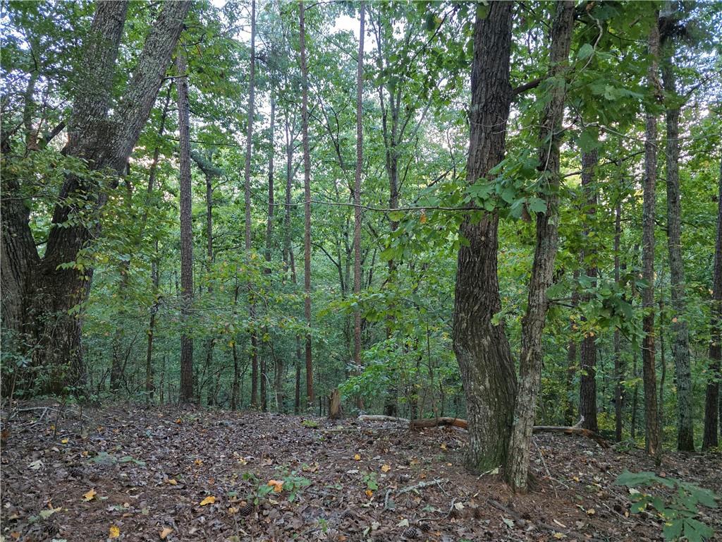 0 Old Goodie Mtn Road Southeast Cartersville, GA 30120 - Photo 2 of 4 a view of a forest