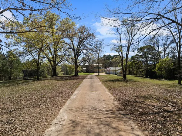a view of road with large trees