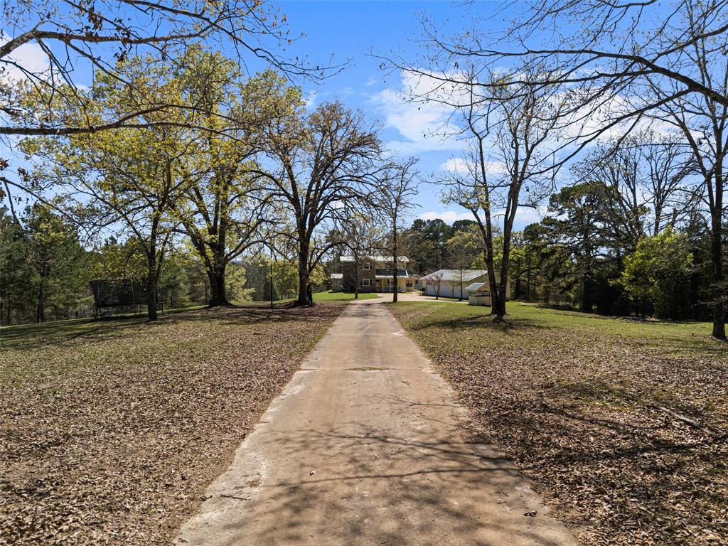 533 Huffman Road Harleton, TX 75651 - Photo 11 of 40 a view of road with large trees