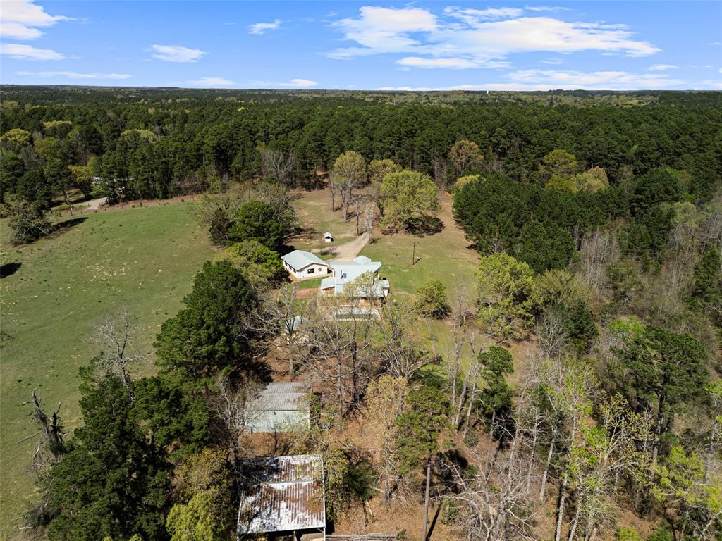 533 Huffman Road Harleton, TX 75651 - Photo 5 of 40 a view of a lake with a yard