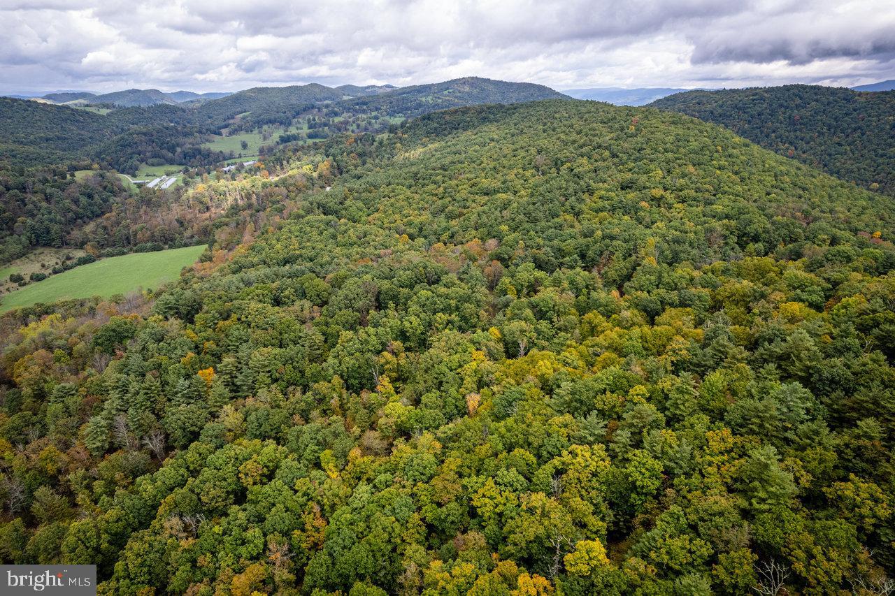 0 Dry Run Road Brandywine, WV 26802 - Photo 29 of 33
