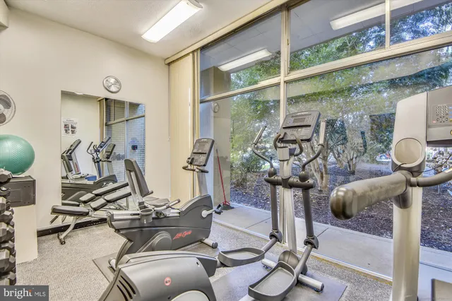 $1,590 | 6631 Wakefield Drive, Unit 319, Alexandria, VA 22307