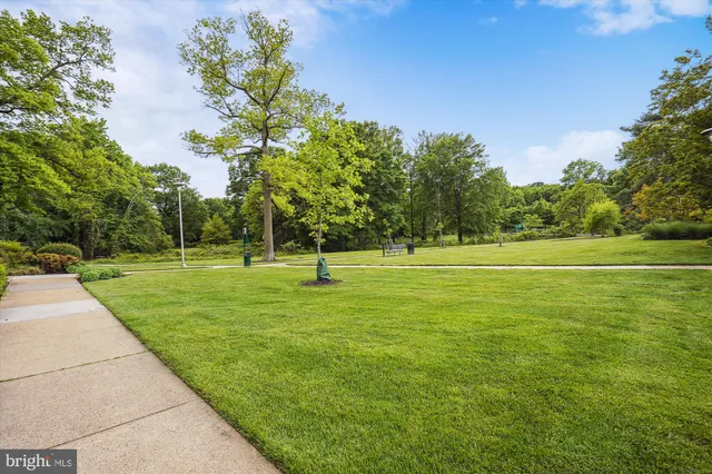 $1,590 | 6631 Wakefield Drive, Unit 319, Alexandria, VA 22307