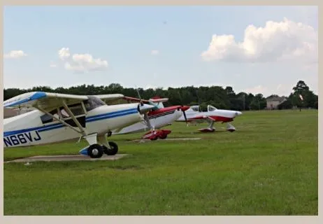 a green field with some trees