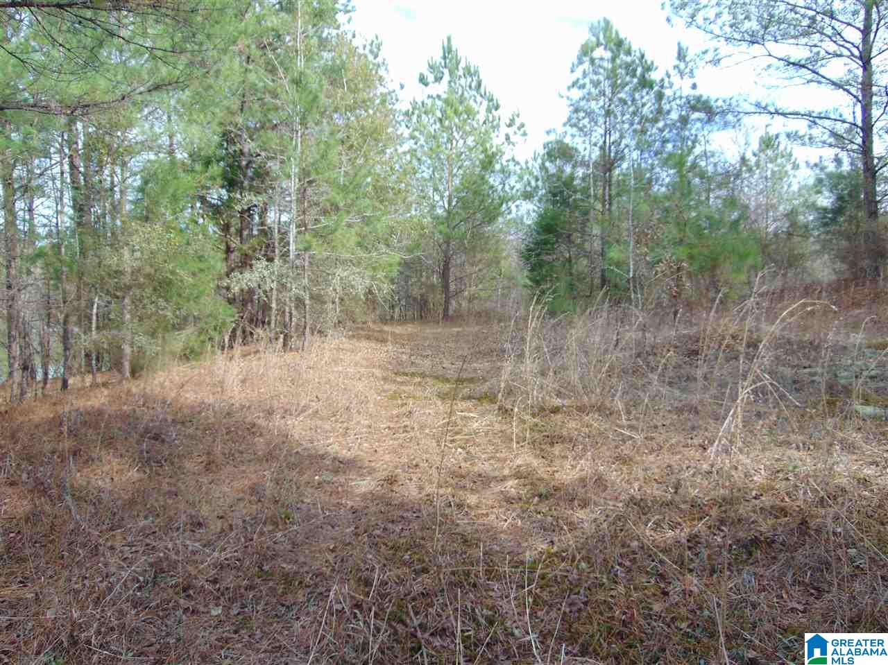 15798 Sylvan Loop Road, Unit 5 PARCLS Fosters, AL 35463 - Photo 2 of 4