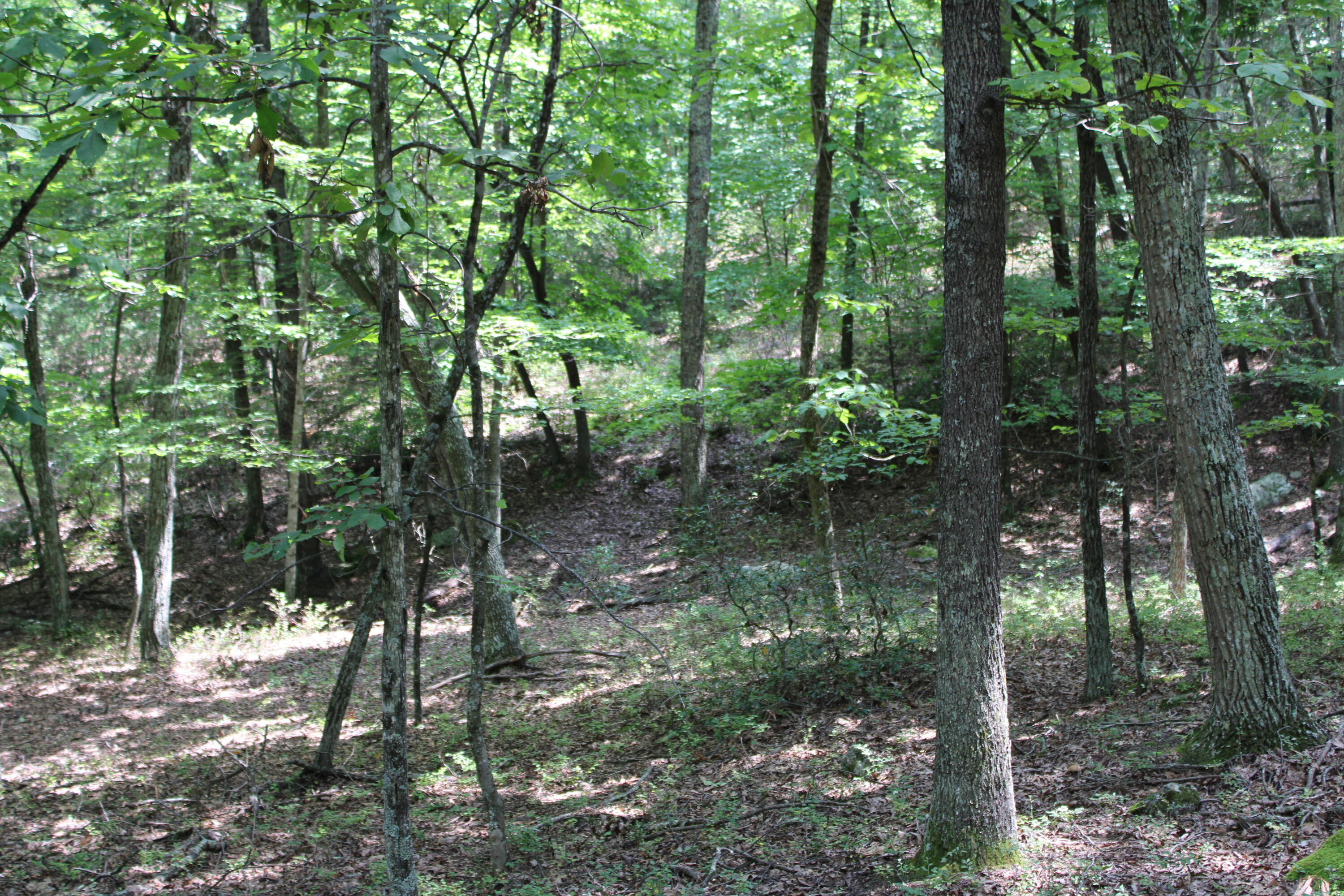 2816 Johns Creek Road New Castle, VA 24127 - Photo 43 of 96 IMG_0041