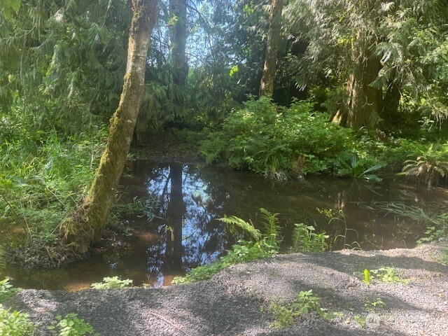692-24 Burchett Road Onalaska, WA 98570 - Photo 4 of 12