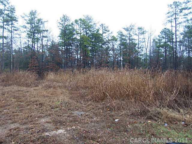 587 Medora Lane Fort Mill, SC 29708 - Photo 1 of 1 a view of a forest with trees in the background