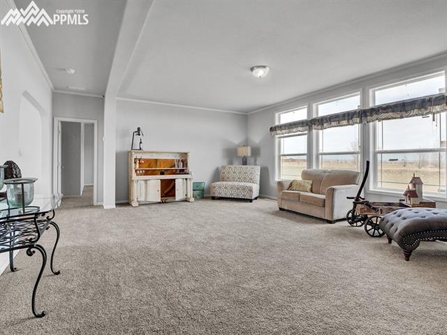 1220 Buffalo Run Road Calhan, CO 80808 - Photo 6 of 32 Gallery Image 6