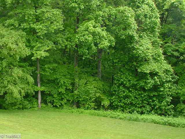 7855 Creedmoor Drive Rural Hall, NC 27045 - Photo 4 of 16 Yard/Garden.