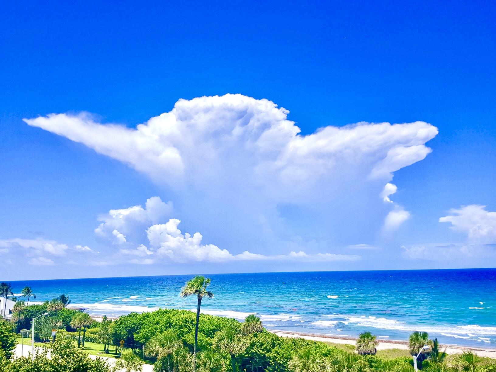 4101 North Ocean Boulevard, Unit 703 Boca Raton, FL 33431 - Photo 31 of 31 a view of a big yard