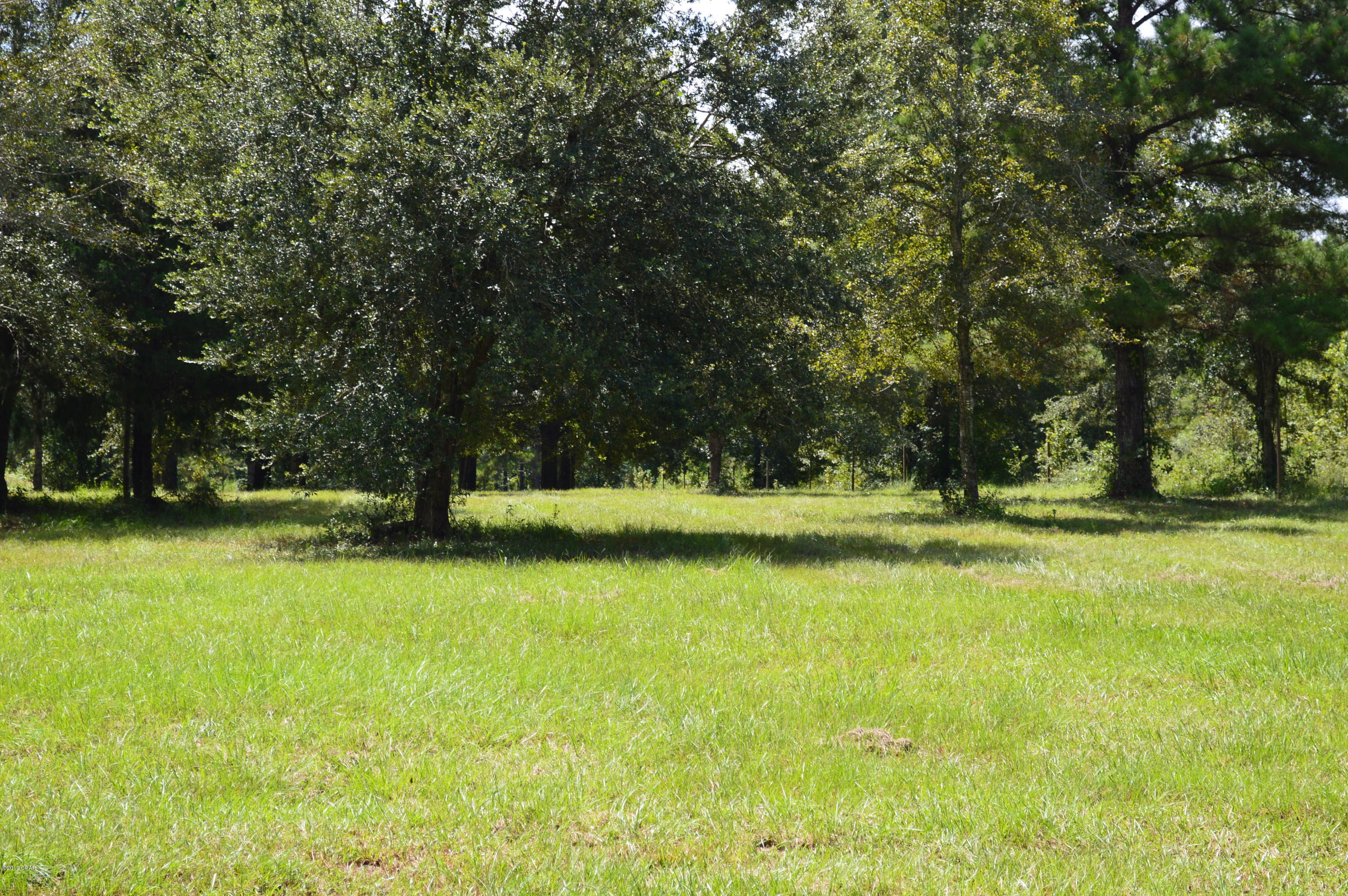 3487 Roche Avenue Vernon, FL 32462 - Photo 15 of 42 Gallery Image 15