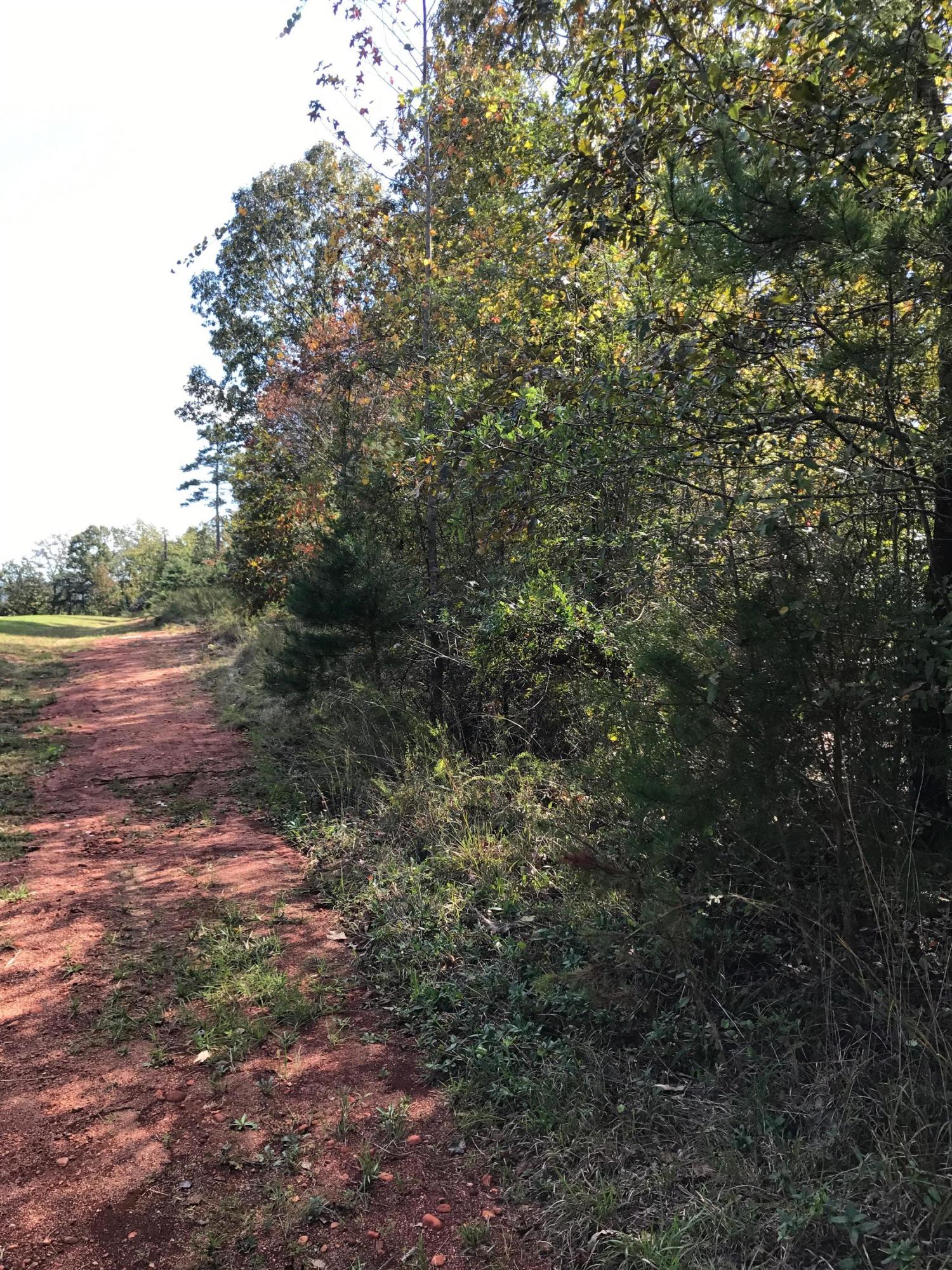 167 Lakeview Trail Rockingham, NC 28379 - Photo 3 of 3 IMG_0521