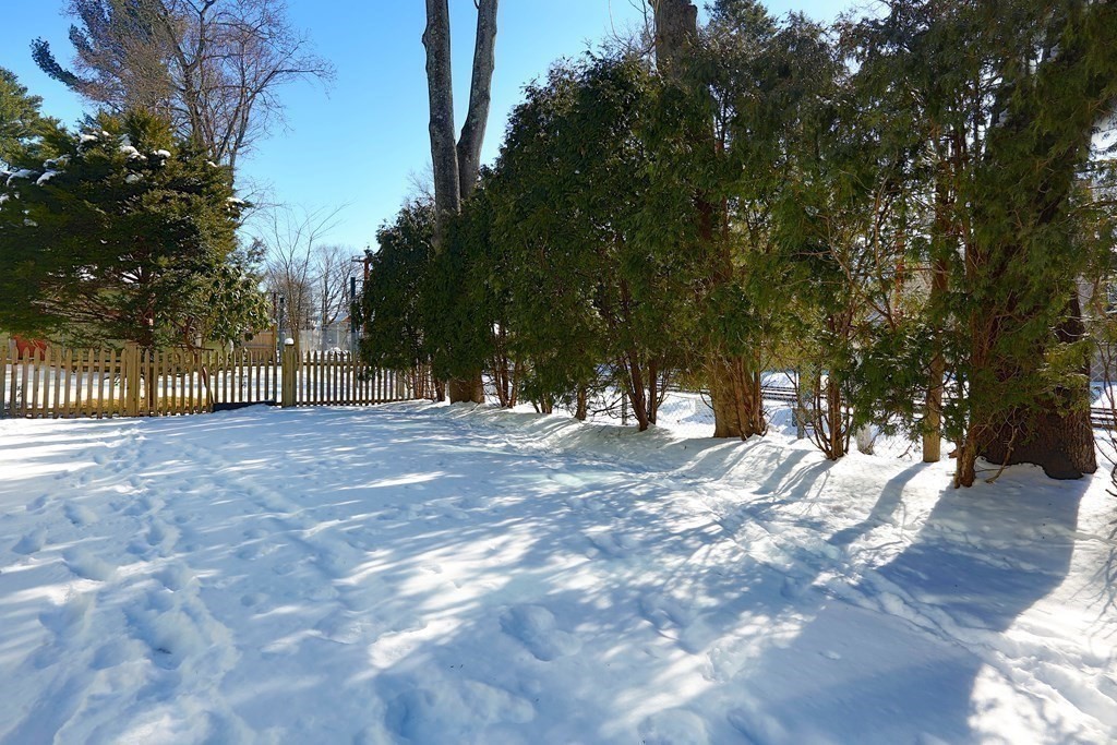 30 Harrison Street Newton, MA 02461 - Photo 17 of 18