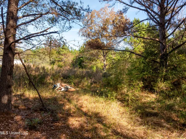 $39,900 | 0 Beach Road, Purvis, MS 39475