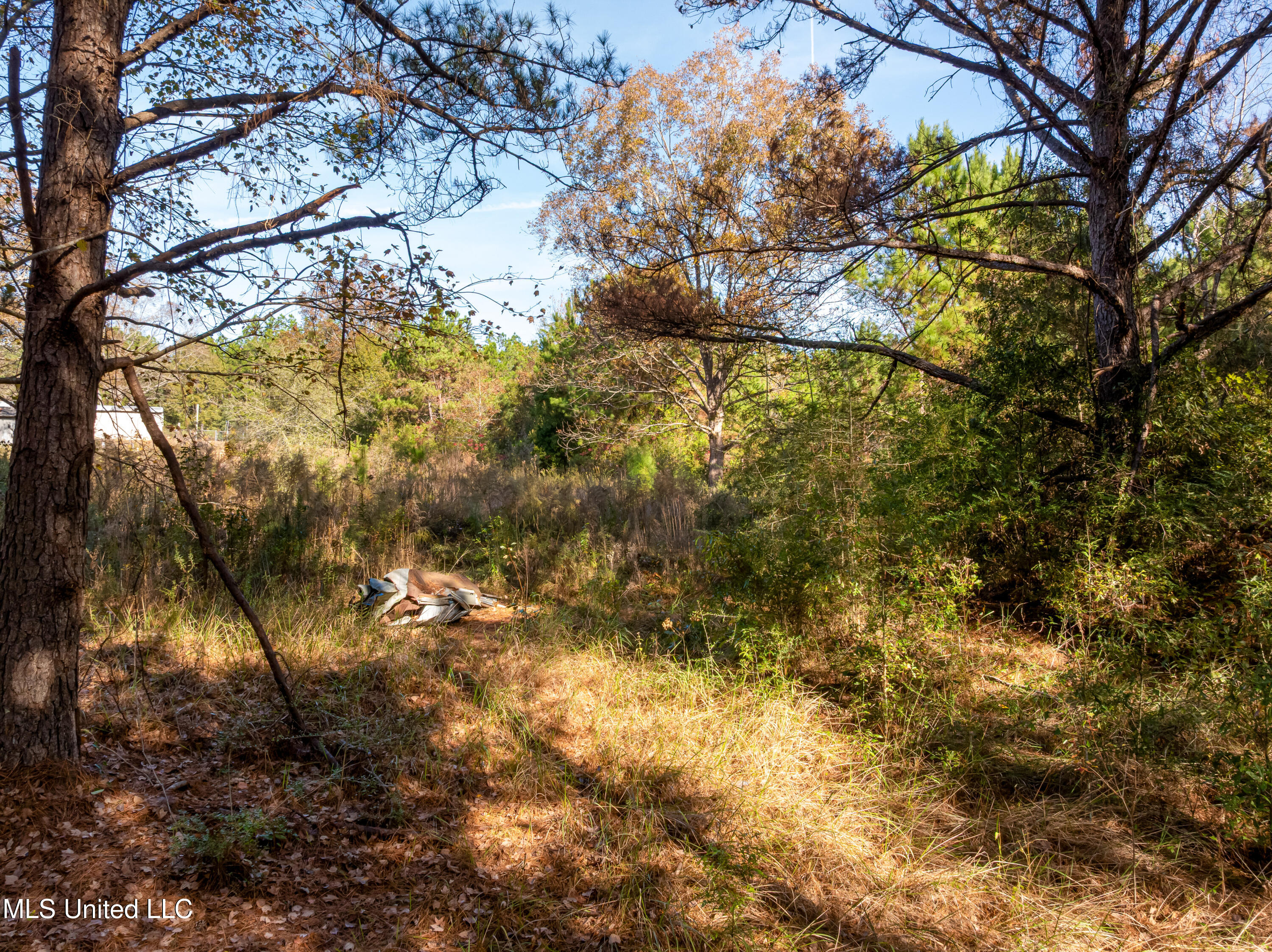 0 Beach Road Purvis, MS 39475 - Photo 3 of 17 Beach_Rd-3 2