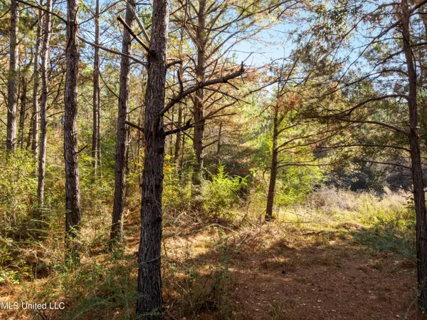 $39,900 | 0 Beach Road, Purvis, MS 39475