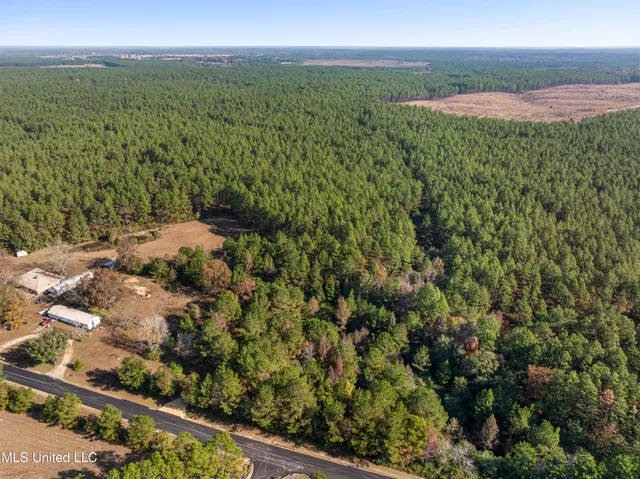 $39,900 | 0 Beach Road, Purvis, MS 39475