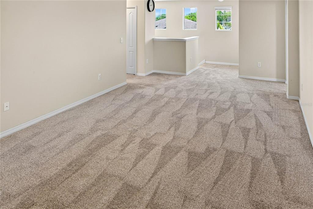 13415 White Sapphire Road Riverview, FL 33579 - Photo 39 of 96