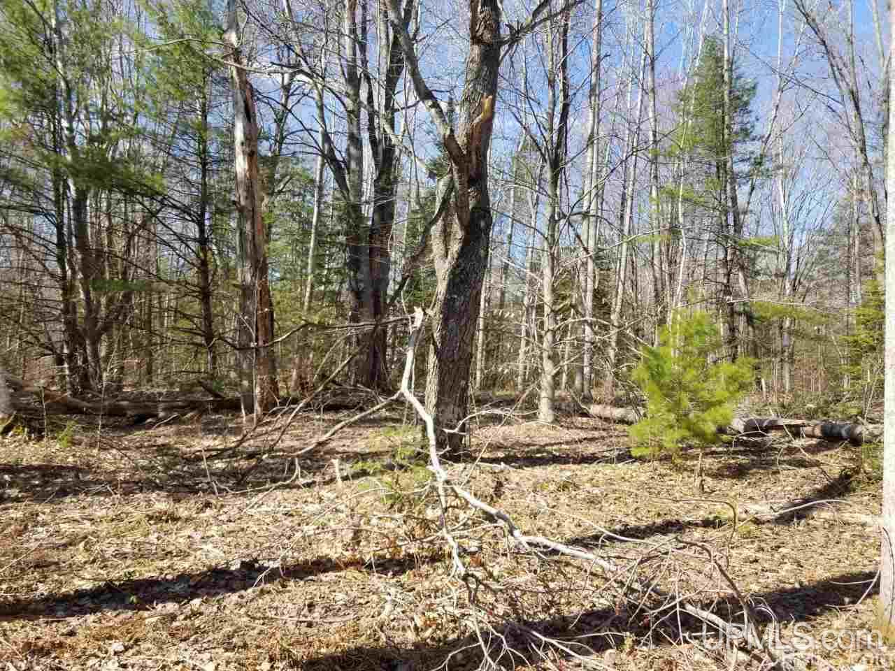 Tbd 2224 Road Wetmore, MI 49895 - Photo 5 of 14