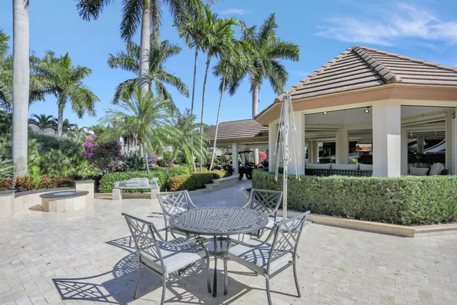 a view of a garden with plants and a bench