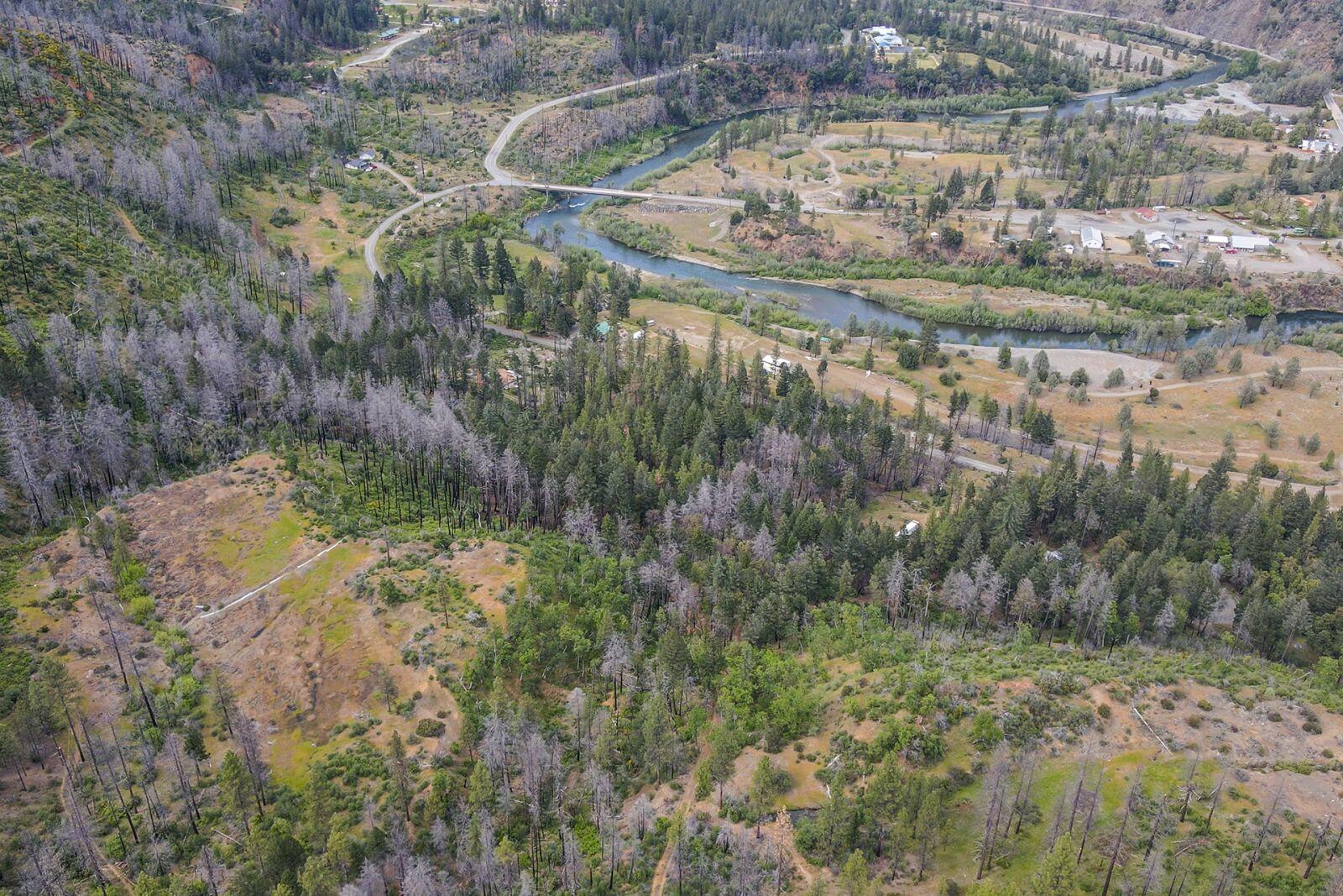710 Dutch Creek Road Junction City, CA 96048 - Photo 21 of 38 a view of a lake with large trees