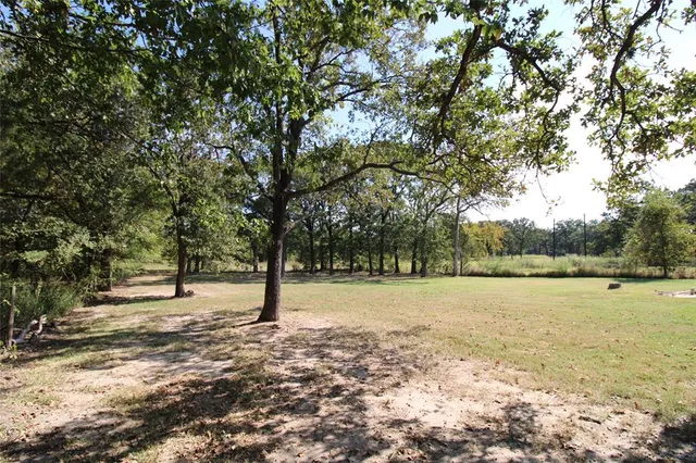 a view of outdoor space with trees