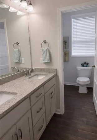 a bathroom with a sink and a toilet