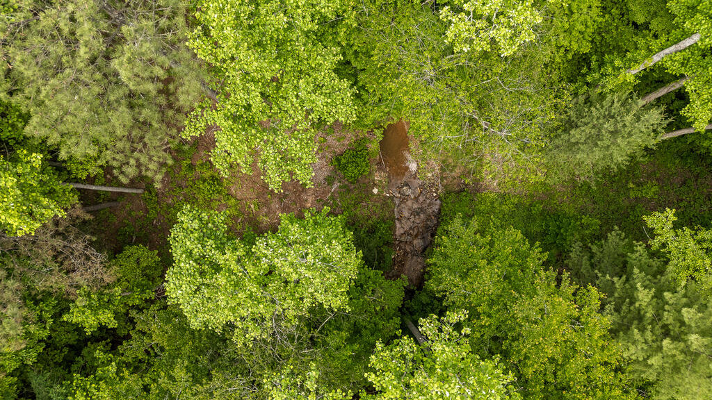 Lot 331 Twisted Oak Road Talking Rock, GA 30175 - Photo 13 of 38 Gallery Image 13