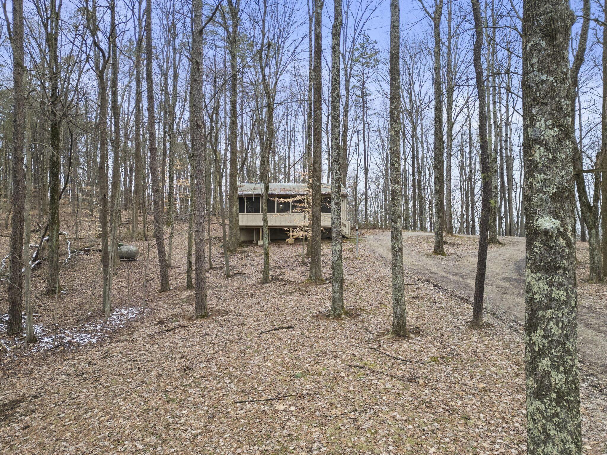 20554 Thompson Ridge Road Laurelville, OH 43135 - Photo 4 of 40 20554 Thompson Ridge Rd