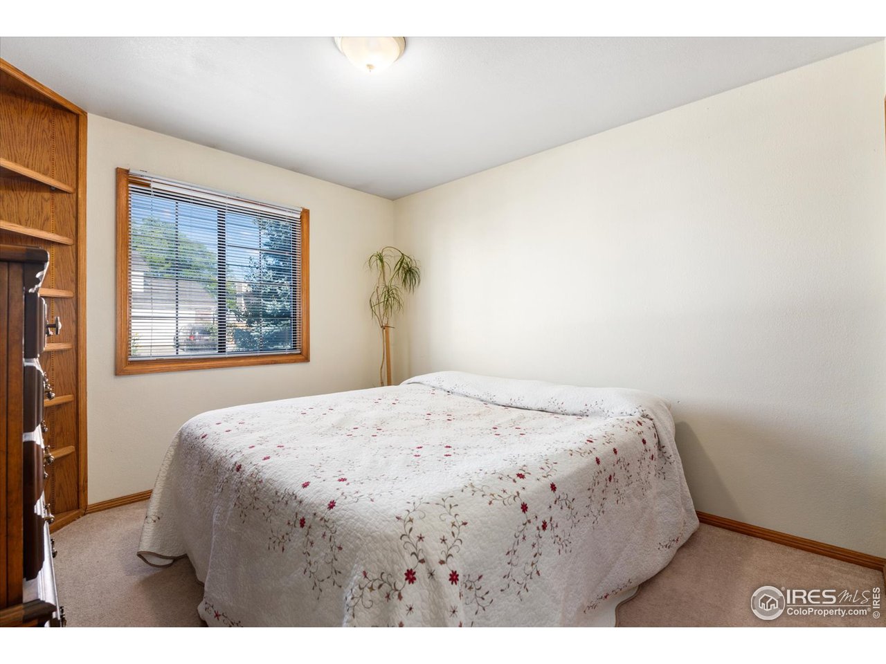 2031 Red Cloud Road Longmont, CO 80504 - Photo 19 of 34 Gallery Image 19