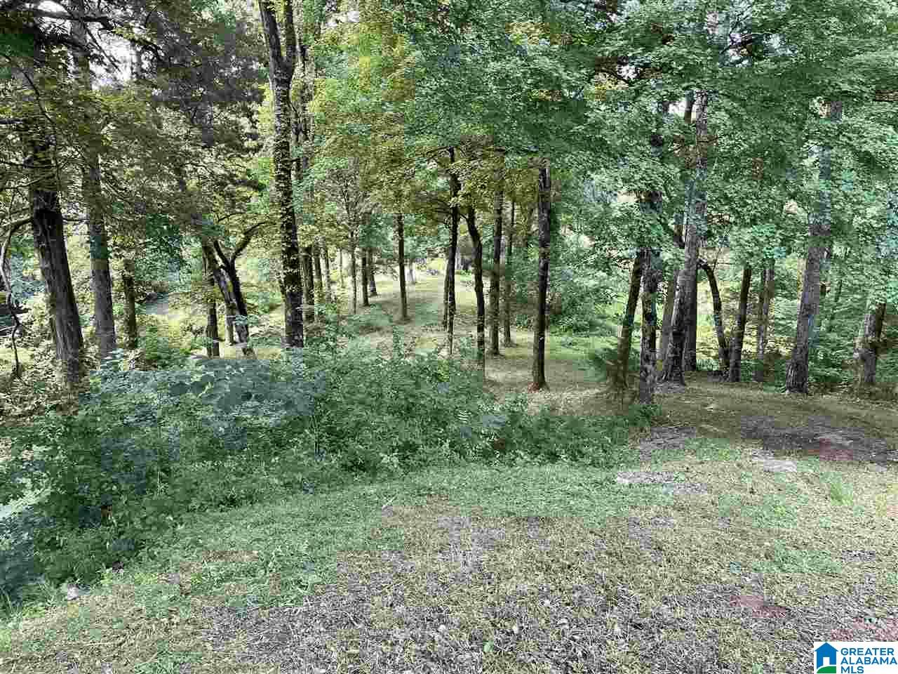 45 Spring Meadow Drive Talladega, AL 35160 - Photo 42 of 44
