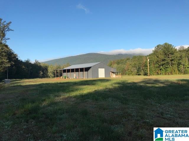 545 Watts Road, Unit 50 AC Lineville, AL 36266 - Photo 19 of 21