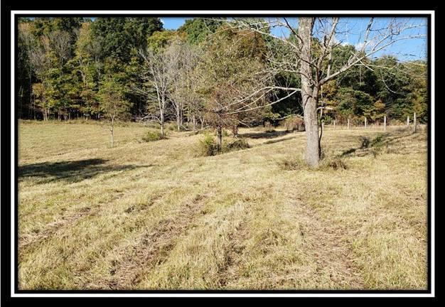 2099 Spud Run Road Chillicothe, OH 45601 - Photo 21 of 41 Gallery Image 21