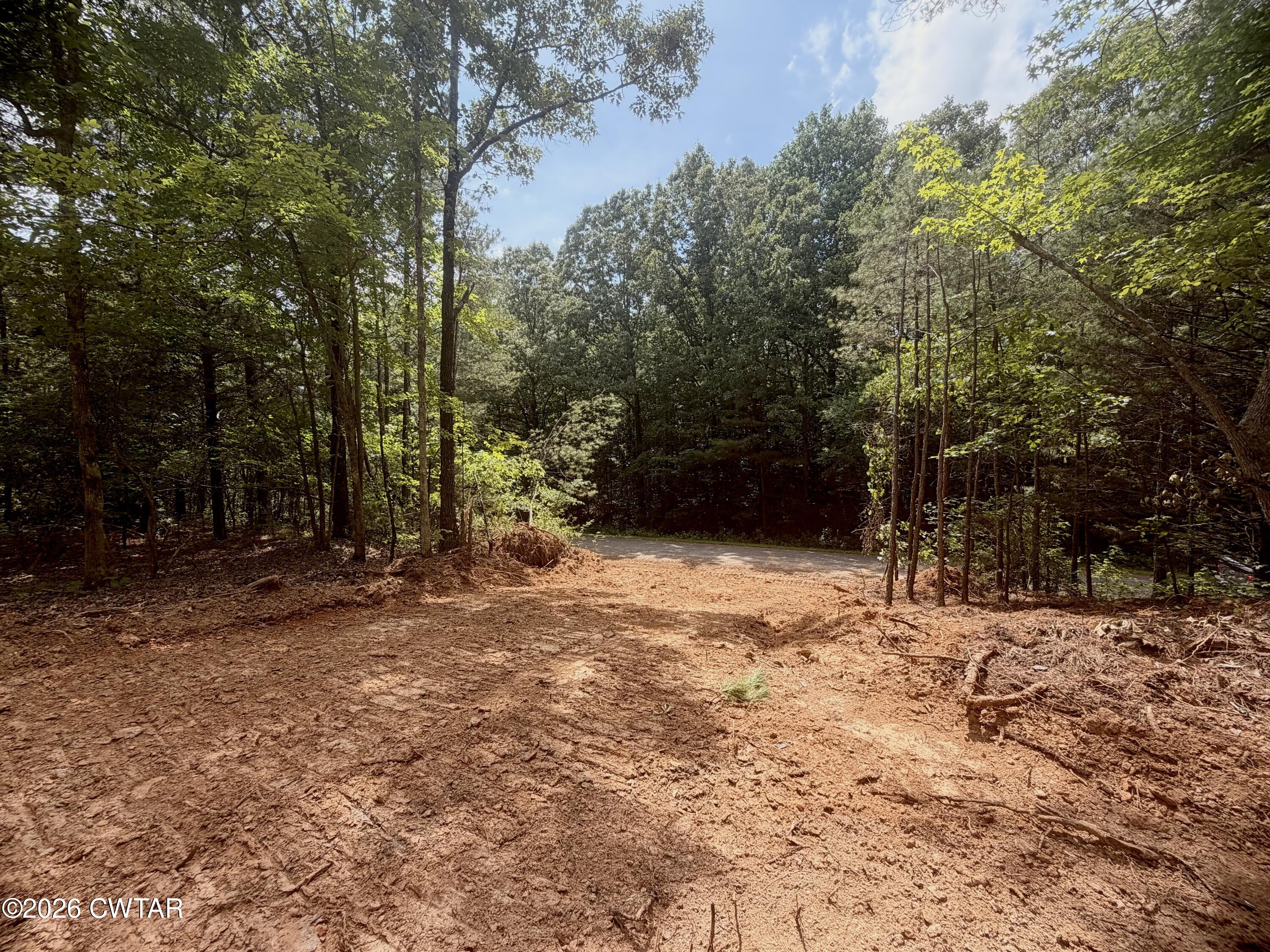 0 Old Lula Road Reagan, TN 38368 - Photo 3 of 18 IMG_4599