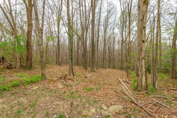 $660,000 | 2422 Corral Road, Unit 2422 CORRAL RD, Signal Mountain, TN 37377