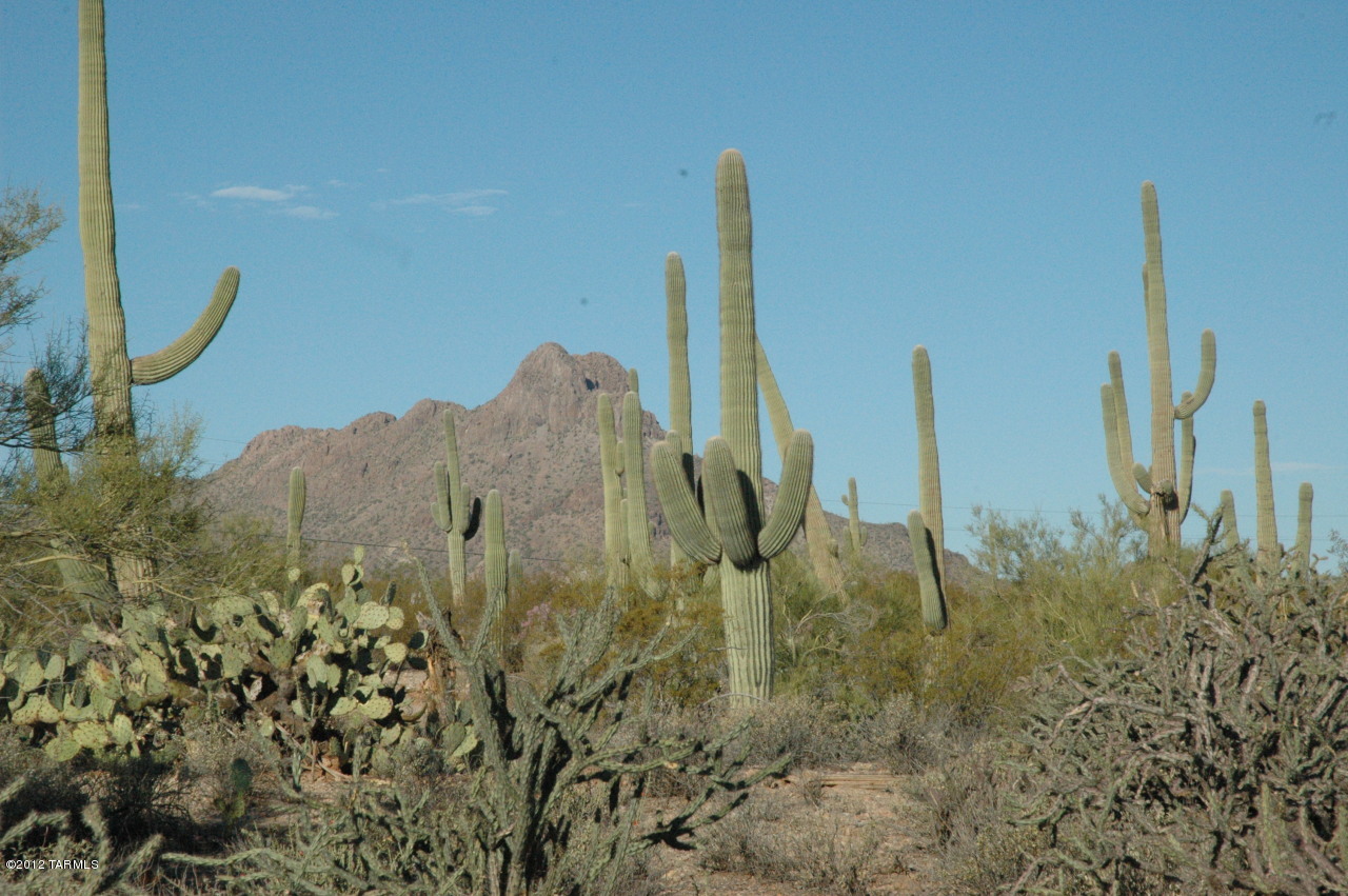 6800 North Wade Road Tucson, AZ 85743 - Photo 1 of 24 Gallery Image 1