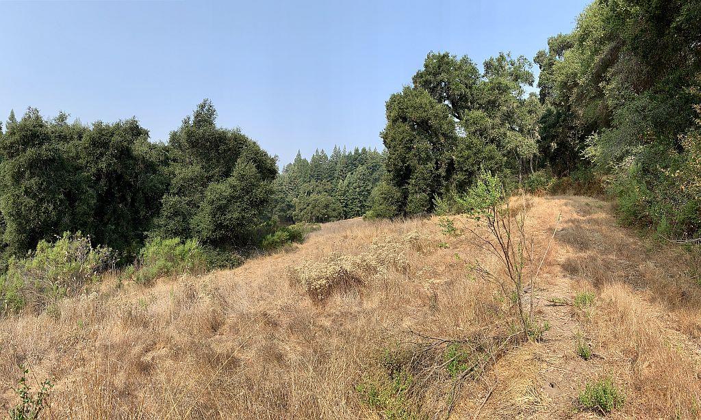 0 Two Two Bar Road Boulder Creek, CA 95006 - Photo 49 of 70 Gallery Image 49
