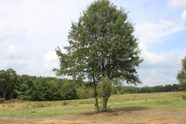 $110,000 | 11 Old Barn Cove, Coldwater, MS 38618
