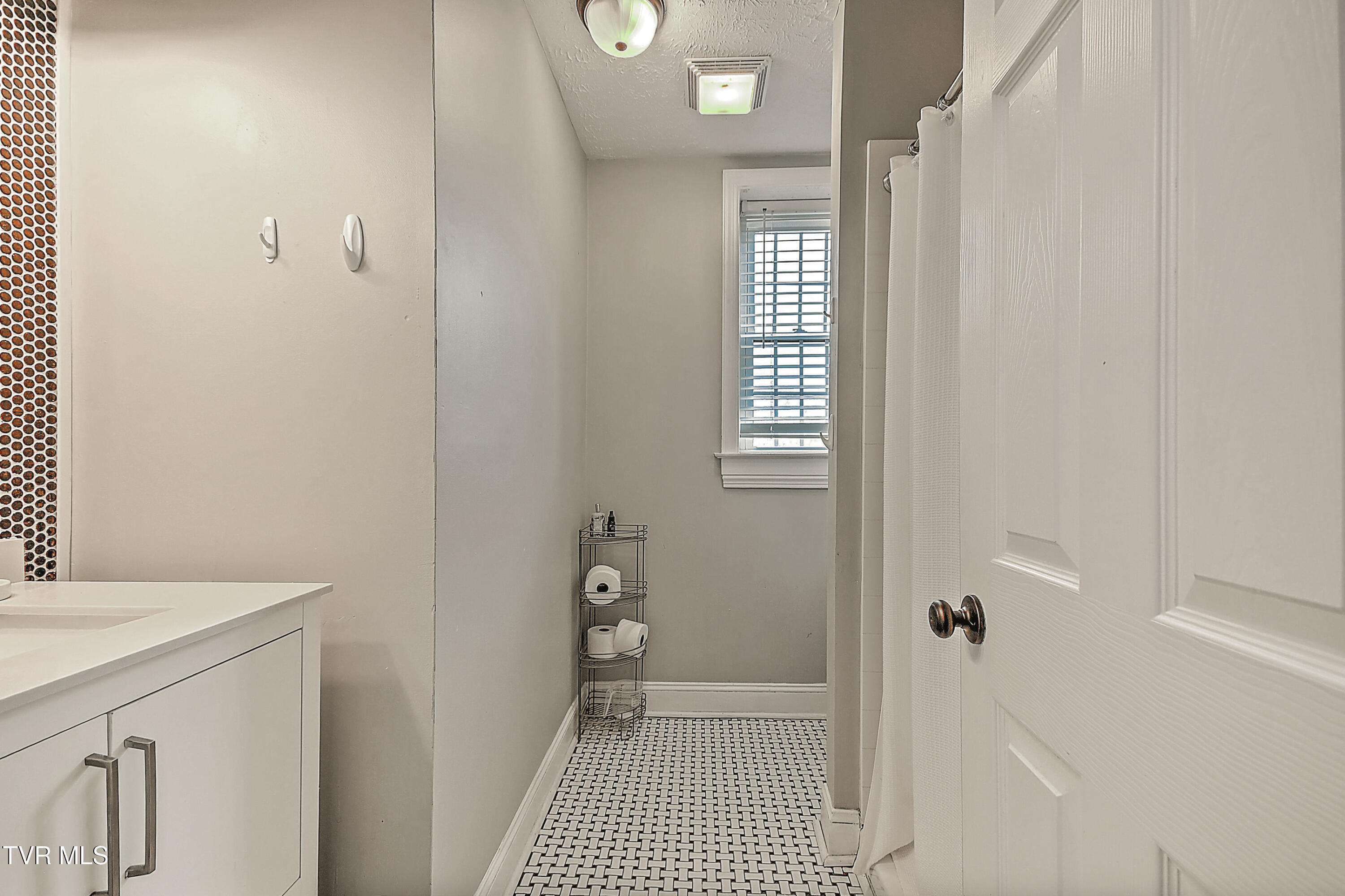 701 West Locust Street, Unit 31 Johnson City, TN 37604 - Photo 30 of 34 W Locust #31 BS-34