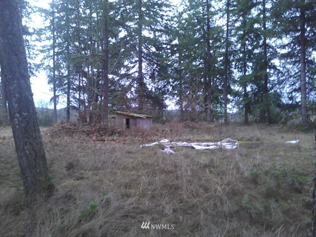 2118 Spencer Road Salkum, WA 98582 - Photo 6 of 11 Gallery Image 6