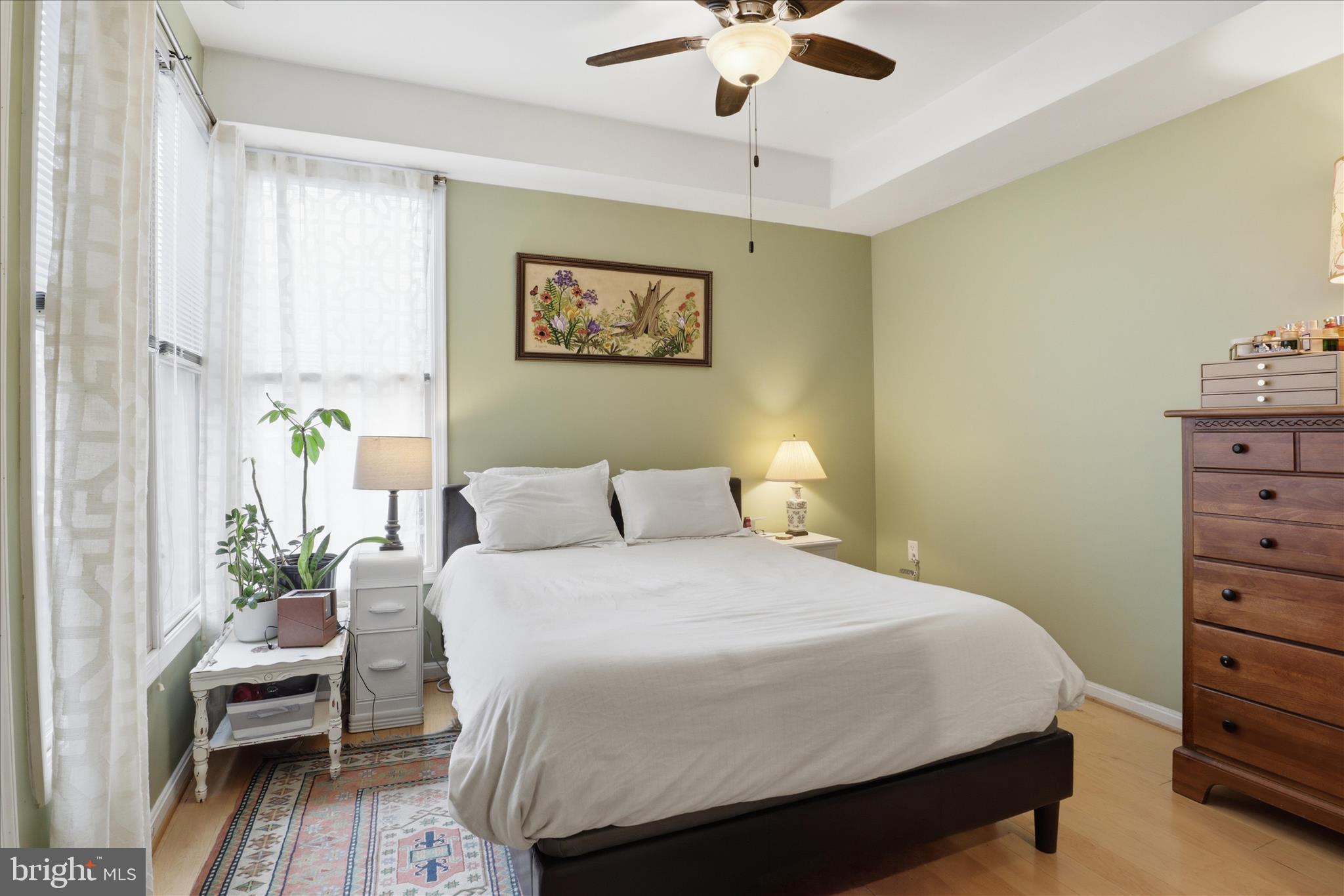 257 14th Street Southeast, Unit B Washington, DC 20003 - Photo 12 of 23 Primary bedroom with plenty of natural light
