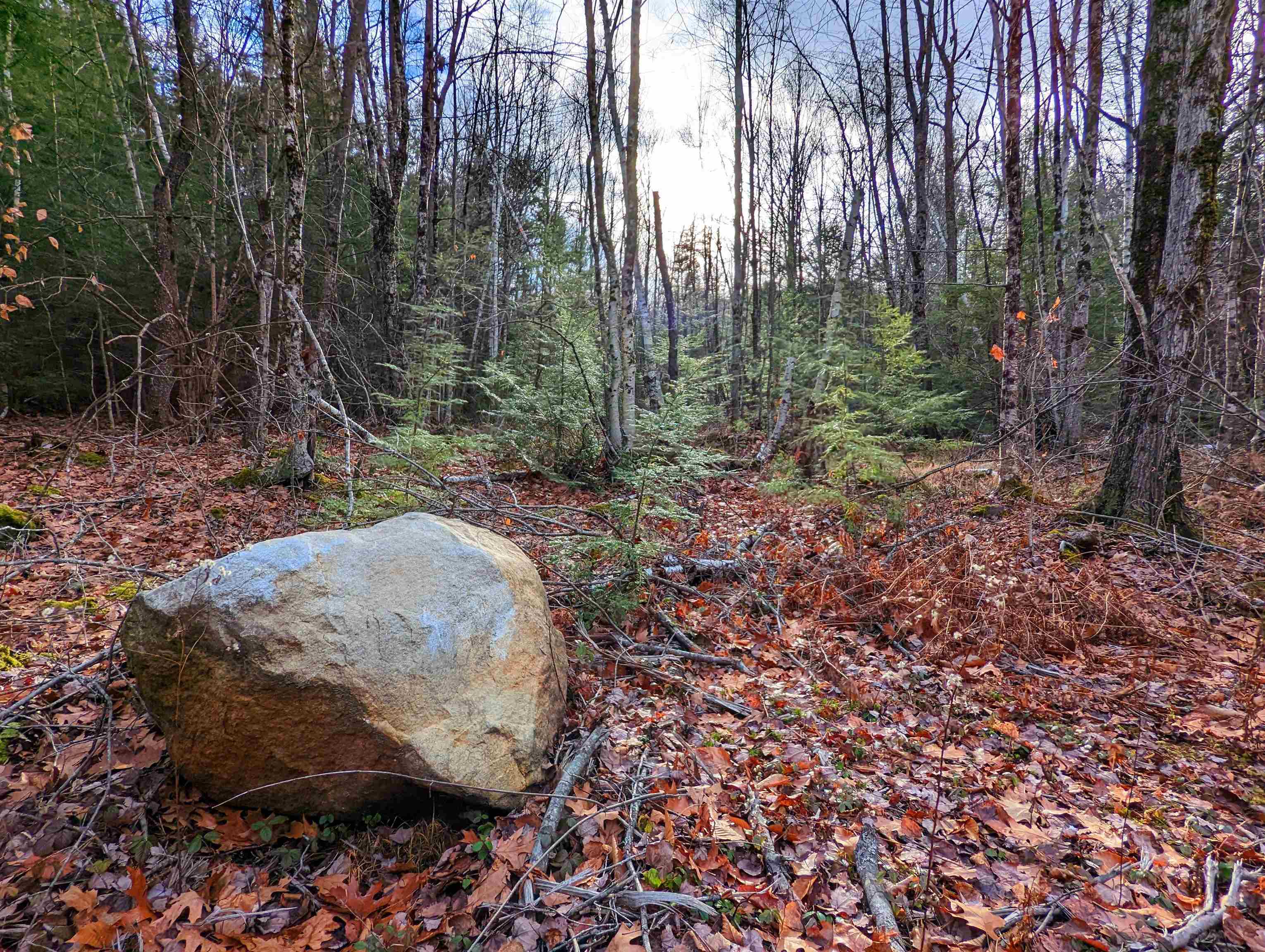 43 Gettings Road Weare, NH 03281 - Photo 5 of 12