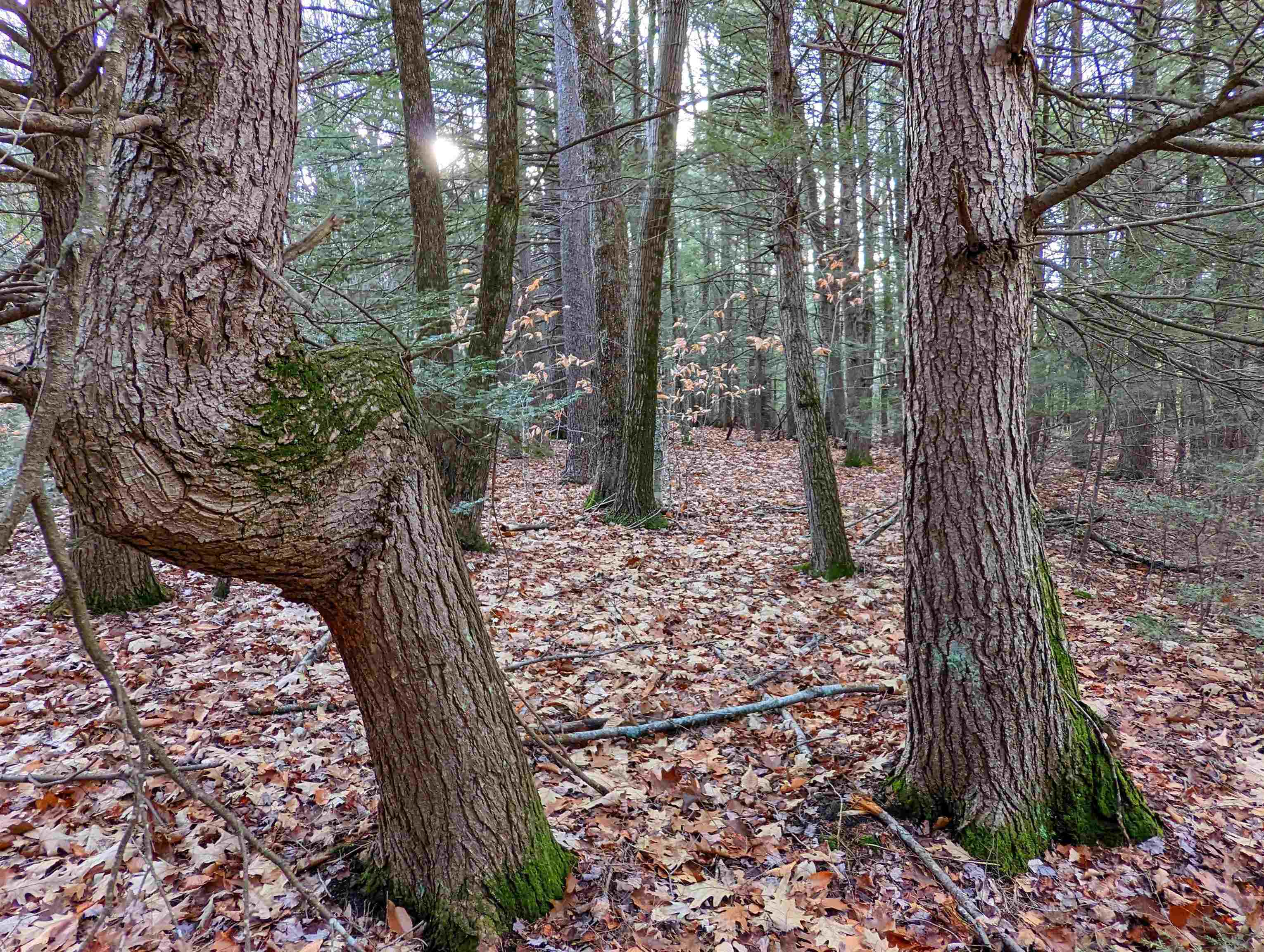 43 Gettings Road Weare, NH 03281 - Photo 7 of 12