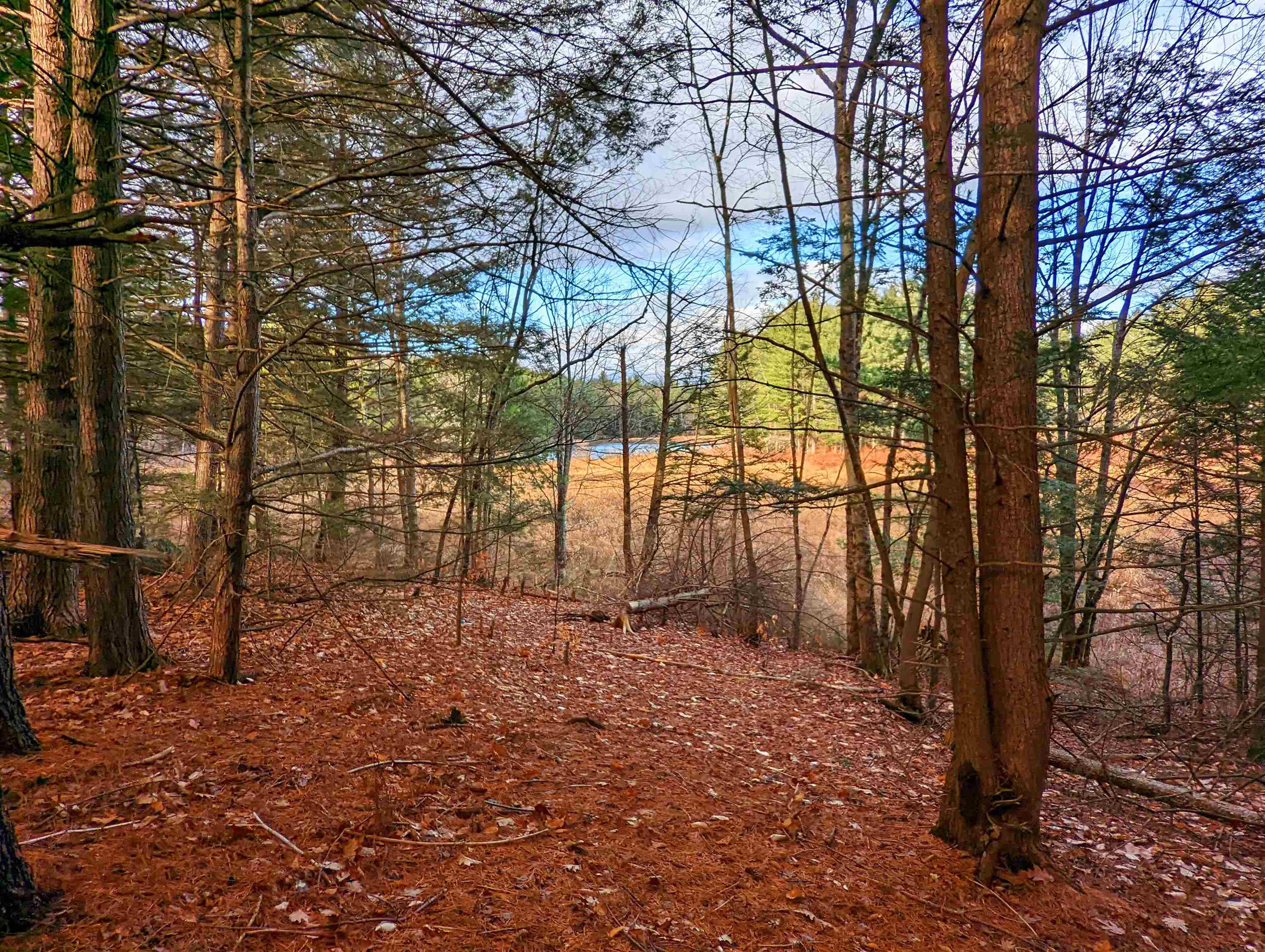 43 Gettings Road Weare, NH 03281 - Photo 9 of 12