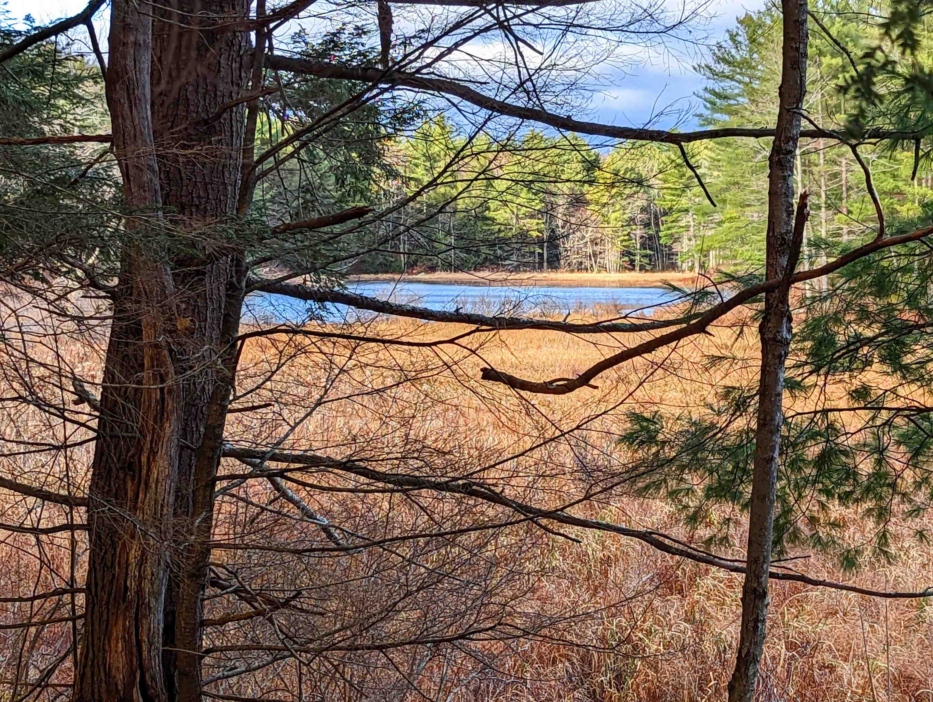 43 Gettings Road Weare, NH 03281 - Photo 10 of 12