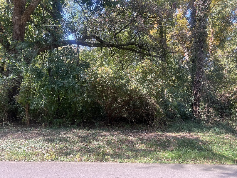 Lot 4 Mccornack Road Elgin, IL 60124 - Photo 3 of 6 a view of a yard with plants and large trees